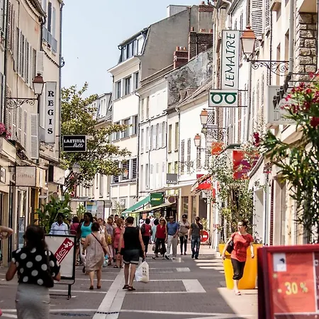 Calme Au Bord De Seine A Melun Avec Jardin Terrasses Et Vue Sur La Seine * Le Mee-sur-Seine